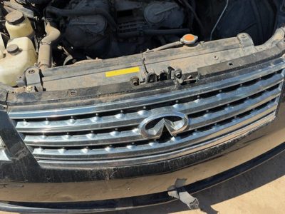2006-2007 Infiniti M35X Front Grille Assembly Oem Upper 62310Eh200