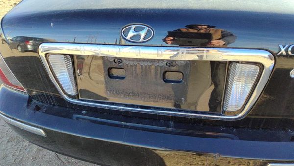 2002-2005 Hyundai Xg350 License Plate Trim Surround Panel Oem Tail Trunk Finish — photo 1