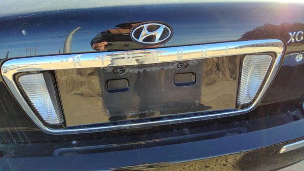 2002-2005 Hyundai Xg350 License Plate Trim Surround Panel Oem Tail Trunk Finish — photo 3