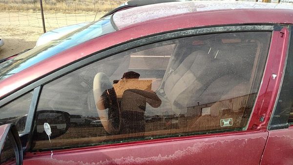2010-2014 Honda Insight Driver Left Front Side Window Door Glass Oem 73350Tm8A10 — photo 1