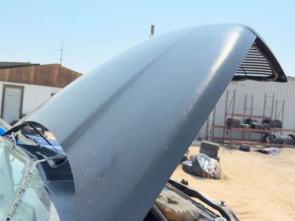 2002 Dodge Ram 1500 Hood Black PX8 — photo 1