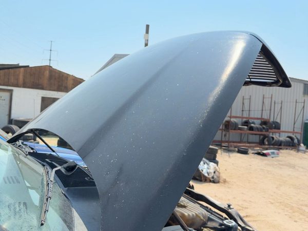 2002 Dodge Ram 1500 Hood Black PX8 — photo 4