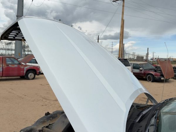 2006 Dodge Dakota Hood White PW7 — photo 3