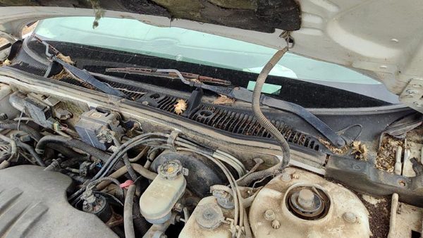 1997-2005 Buick Park Ave Windshield Wiper Cowl Vent Trim Panel Oem Cover — photo 2
