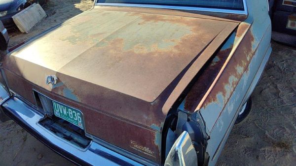 1980 1981 1982 1983 1984 Deville Sedan Rear Trunk Deck Lid Oem 20723421 — photo 3