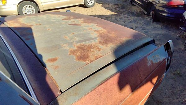 1980 1981 1982 1983 1984 Deville Sedan Rear Trunk Deck Lid Oem 20723421 — photo 5