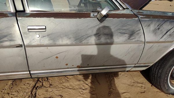 1979 Chevy Caprice RH Passenger Right Front Door Shell OEM Gray 20130327 — photo 1