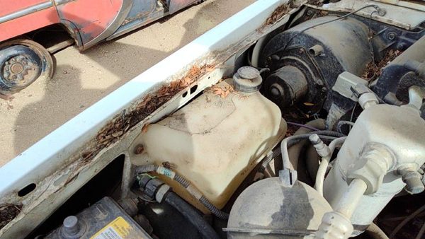 1988-1994 Chevy S10 Blazer Coolant Reservoir Radiator Overflow Tank Bottle Oem — photo 2