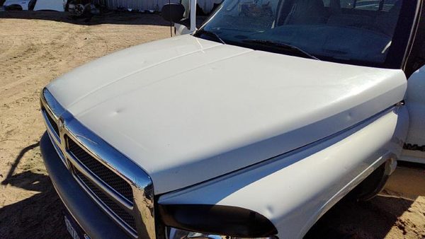 1998 Dodge Ram 1500 Hood White Hail — photo 1