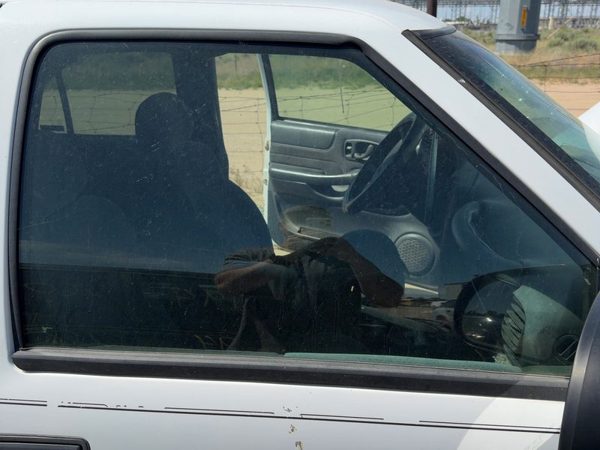 1995-2005 Chevy S10 Blazer Passenger Right Front Side Window Door Glass Oem — photo 2