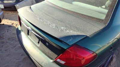 2000 Ford Taurus Trunk/decklid/hatch/tailgate Su Tropic Green Hail