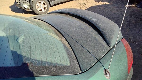 2000 Ford Taurus Trunk/decklid/hatch/tailgate Su Tropic Green Hail — photo 3