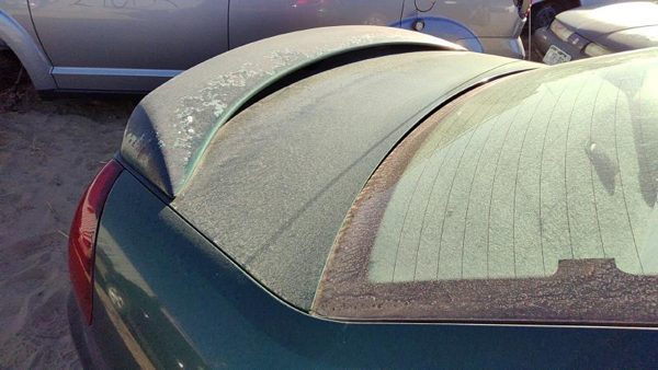 2000 Ford Taurus Trunk/decklid/hatch/tailgate Su Tropic Green Hail — photo 4