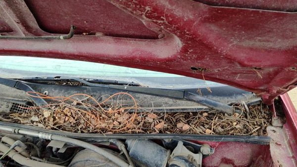 1993-2003 Ford Escort Driver Left Windshield Wiper Arm Oem Blade Lever — photo 1