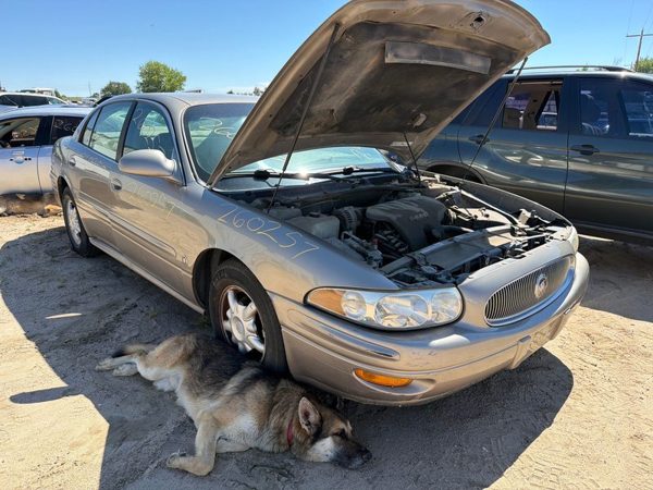 2001 Buick LeSabre Header Panel Bronzemist 54U — photo 6