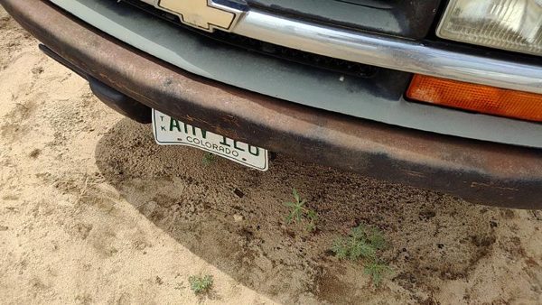 1999 S10/s15/sonoma Truck Front Bumper Assy. S10 Pickup White 50U — photo 6