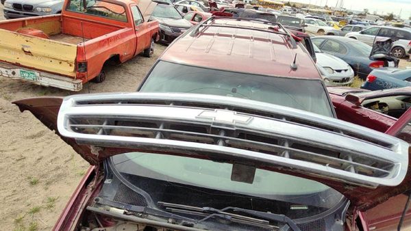 2001-2004 Chevy Venture Front Grille Assembly Oem 10310159 — photo 1