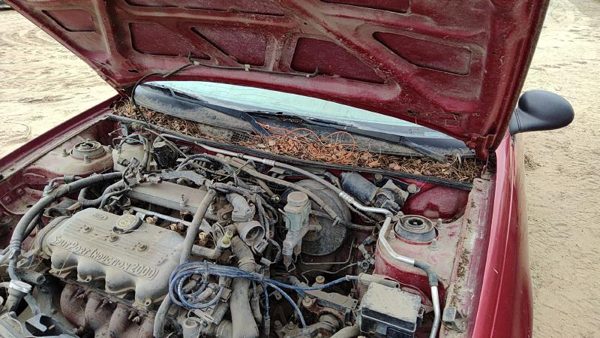1997-1998 Ford Escort Pair Of Hood Hinges Right Left Set Assembly Oem Red — photo 2