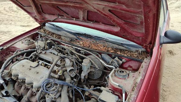 1997-1998 Ford Escort Pair Of Hood Hinges Right Left Set Assembly Oem Red — photo 3