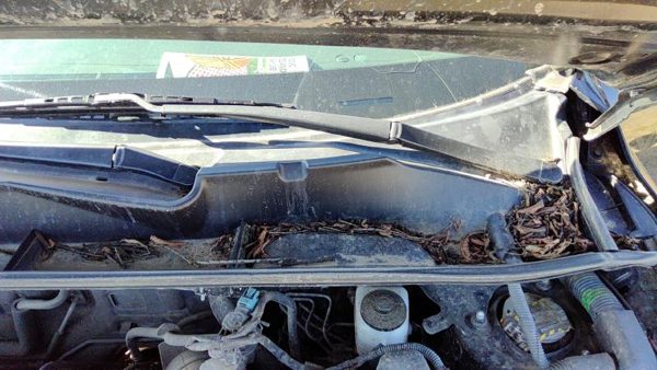 2009-2014 Toyota Rav-4 Windshield Wiper Cowl Vent Trim Panel Oem Cover — photo 6