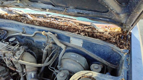 1984-1986 Toyota Camry Driver Left Windshield Wiper Arm Oem Blade Lever — photo 4