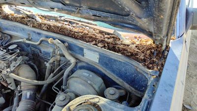 1984-1986 Toyota Camry Driver Left Windshield Wiper Arm Oem Blade Lever