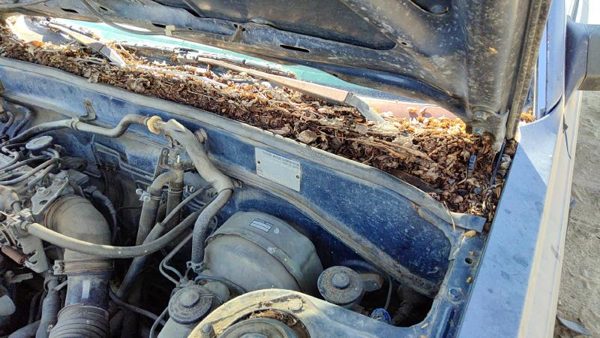 1984-1986 Toyota Camry Driver Left Windshield Wiper Arm Oem Blade Lever — photo 1