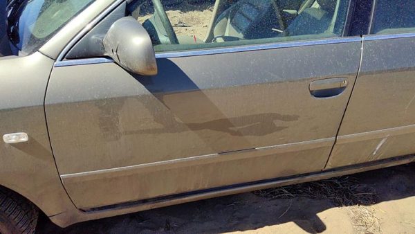 2002 Audi A6 Front Door LH Gold — photo 2