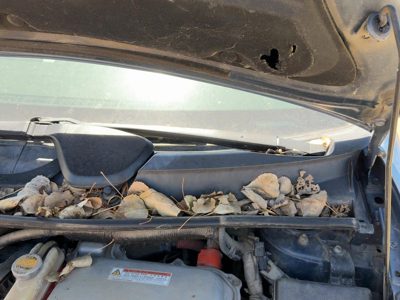 2004-2009 Toyota Prius Driver Left Windshield Wiper Arm Oem Blade Lever