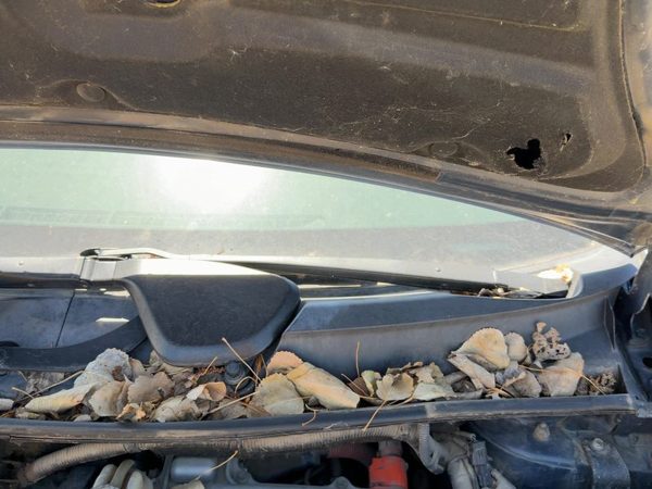 2004-2009 Toyota Prius Driver Left Windshield Wiper Arm Oem Blade Lever — photo 2