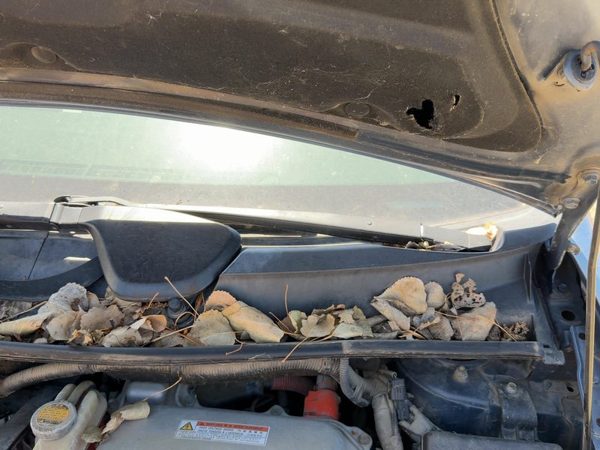 2004-2009 Toyota Prius Driver Left Windshield Wiper Arm Oem Blade Lever — photo 4