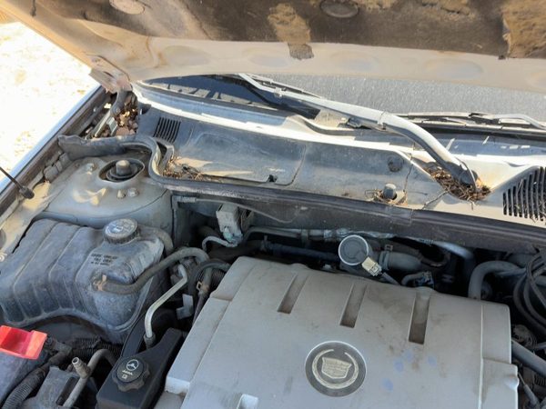 2005 Cadillac Deville Cowl Vent Panel/screen — photo 2