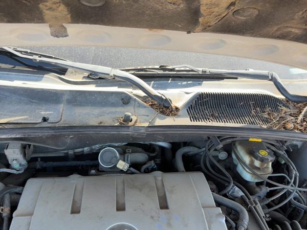 2005 Cadillac Deville Cowl Vent Panel/screen — photo 4