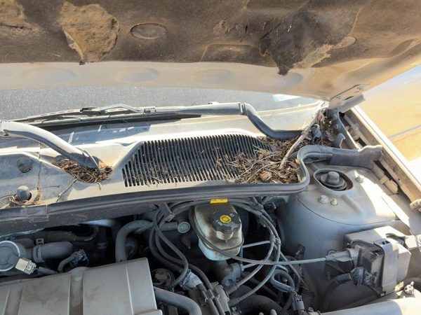 2005 Cadillac Deville Cowl Vent Panel/screen — photo 5
