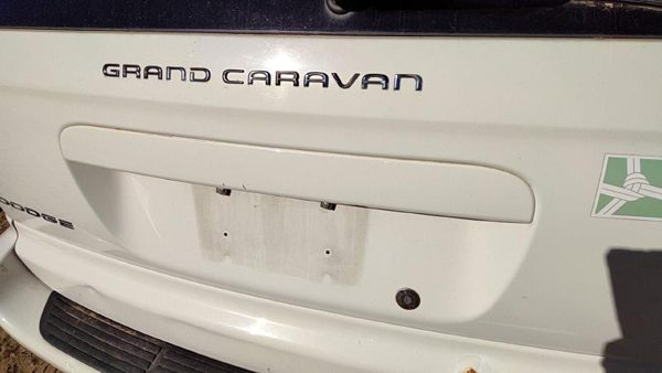 2001-2007 Dodge Caravan Driver Left Front Outside Door Handle Oem White Pw1 — photo 4