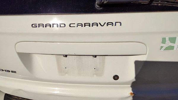 2001-2007 Dodge Caravan Driver Left Front Outside Door Handle Oem White Pw1 — photo 3