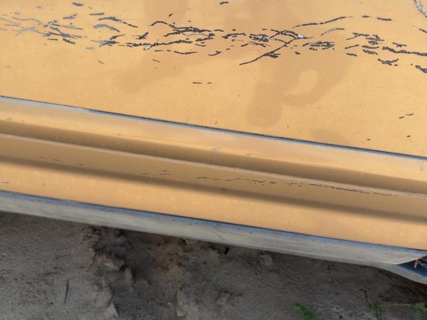 2002-2006 Honda Crv Passenger Right Front Moulding From Door Oem Upper Gold — photo 3
