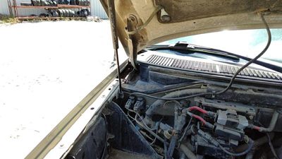 1998-2006 Lincoln Navigator Passenger Right Hood Hinge Assembly Oem Gold Bi