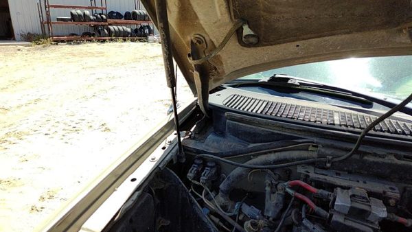 1998-2006 Lincoln Navigator Passenger Right Hood Hinge Assembly Oem Gold Bi — photo 2