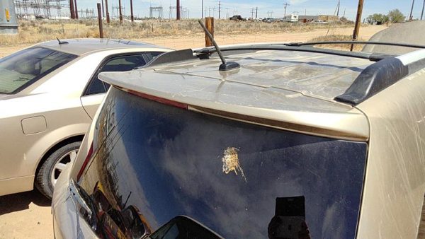2007-2008 Suzuki Grand Vitara Xl-7 Rear Spoiler Back Wing Oem Gold 990Bo24012 — photo 1
