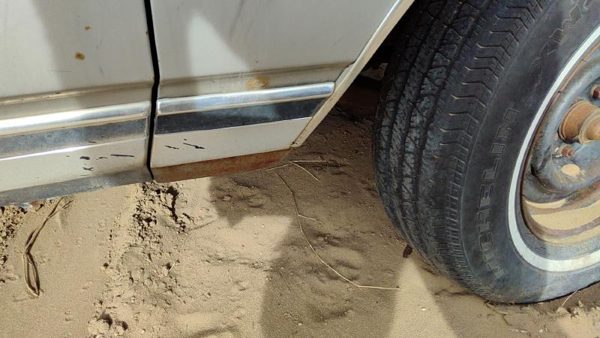 1979 Chevy Caprice Passenger Right Moulding From Fender Oem Trim Strip Back — photo 6