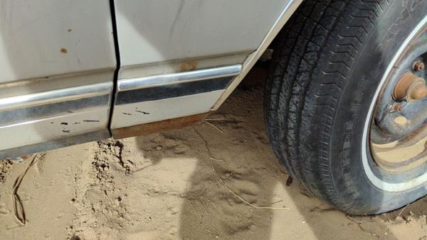 1979 Chevy Caprice Passenger Right Moulding From Fender Oem Trim Strip Back — photo 7