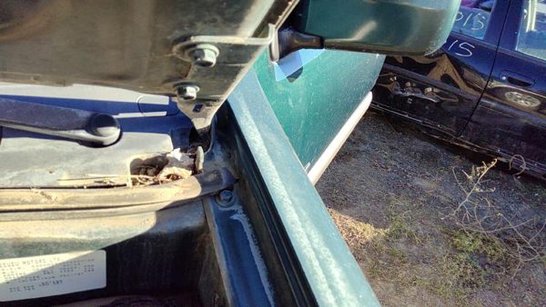 1998-2002 Honda Passport Pair Of Hood Hinges Right Left Set Assembly Oem — photo 4
