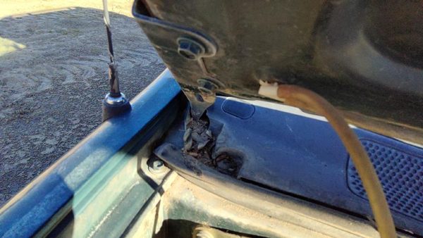 1998-2002 Honda Passport Pair Of Hood Hinges Right Left Set Assembly Oem — photo 2