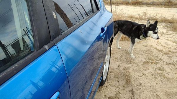 2005 Mazda 3 Rear Door LH 27B Winning Blue BNYF7302XE — photo 2