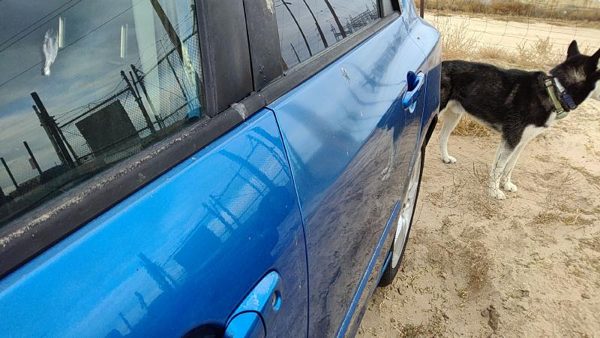 2005 Mazda 3 Rear Door LH 27B Winning Blue BNYF7302XE — photo 3