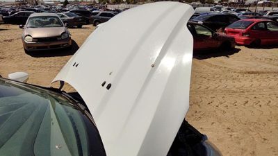 2014 Ford Focus Hood White Yz