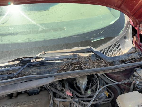 1997-2005 Chevy Venture Driver Left Windshield Wiper Arm Oem Blade Lever — photo 3