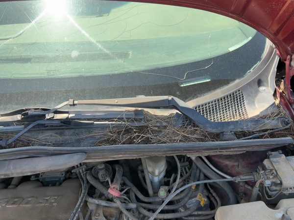 1997-2005 Chevy Venture Driver Left Windshield Wiper Arm Oem Blade Lever — photo 2