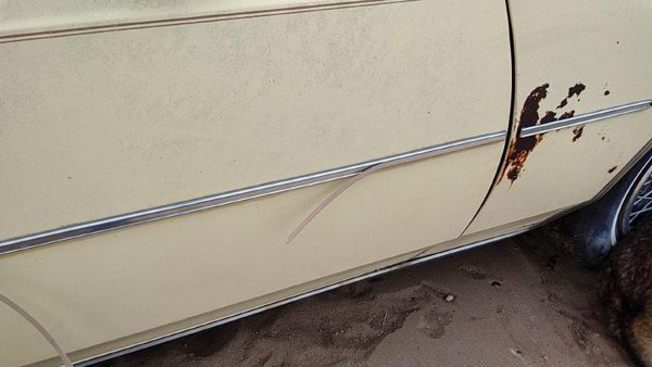 77-84 Cadillac Deville Passenger Right Front Moulding From Door Oem Trim Strip — photo 5